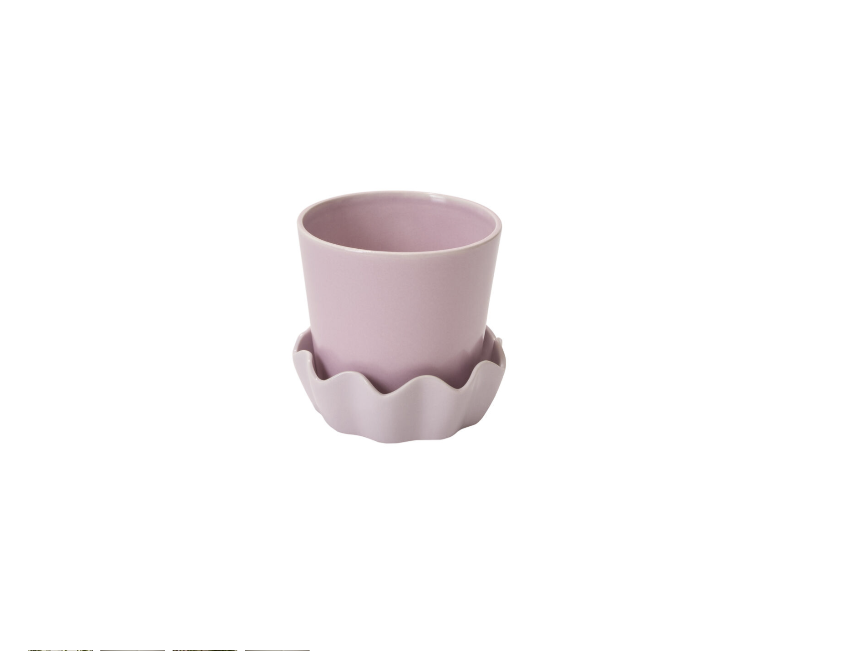 Springvale Planter Collection