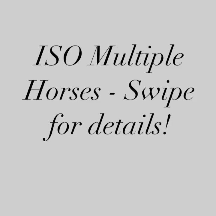 We are looking for horses to add to our program! Please swipe for details, and feel free to send us a DM or a WhatsApp message if you have something suitable. Thank you!