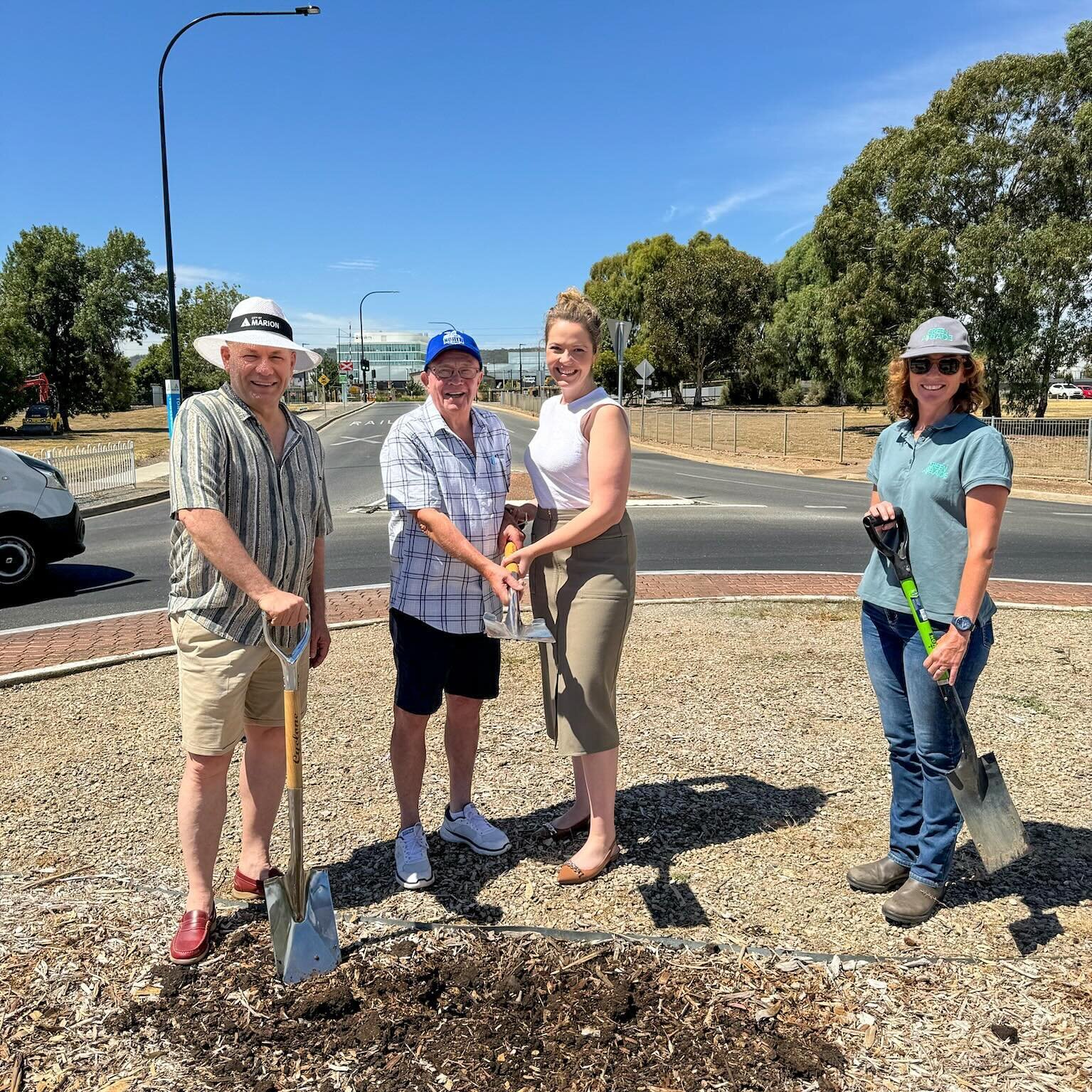 The Alawoona Reserves, Streetscape and Rain Garden Project has officially begun! 

In partnership with the City of Marion, Renewal SA and Green Adelaide, this space is receiving a much needed upgrade which includes traffic calming and streetscape imp