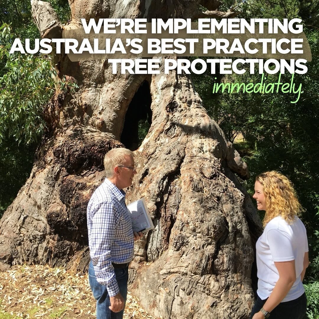 We are taking action to better protect Adelaide&rsquo;s urban tree canopy and safeguard large, mature trees from destruction! Changes include a tripling of the fees for destroying or removing a protected tree and protecting trees with a smaller trunk