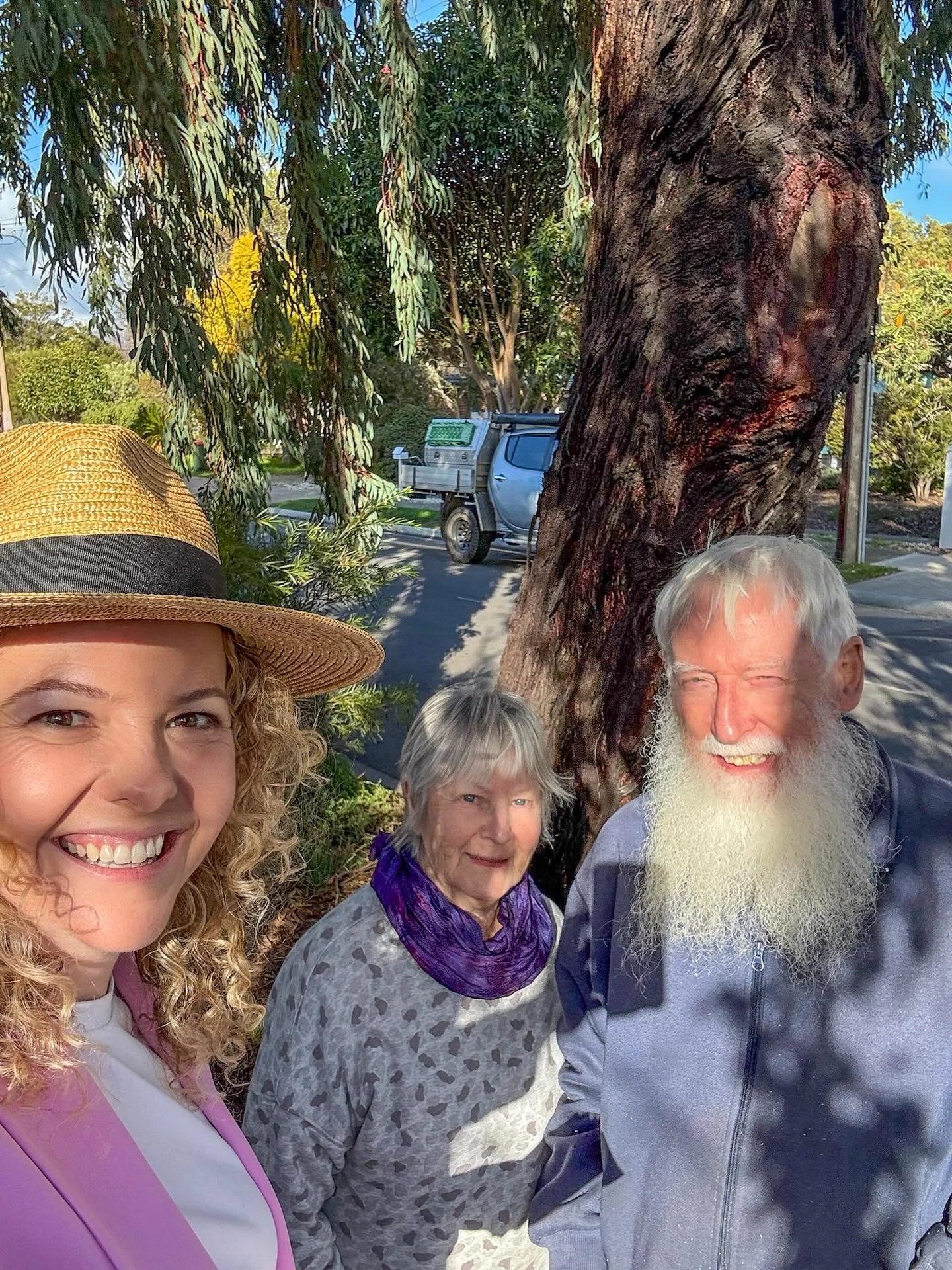 Meet Jac and Jim 👋

I met this lovely couple during my regular doorknocking this week and we had a great chat! 

They told me that many years ago the City of Marion took the seeds from the this big iron bark tree outside their place to plant in Hall