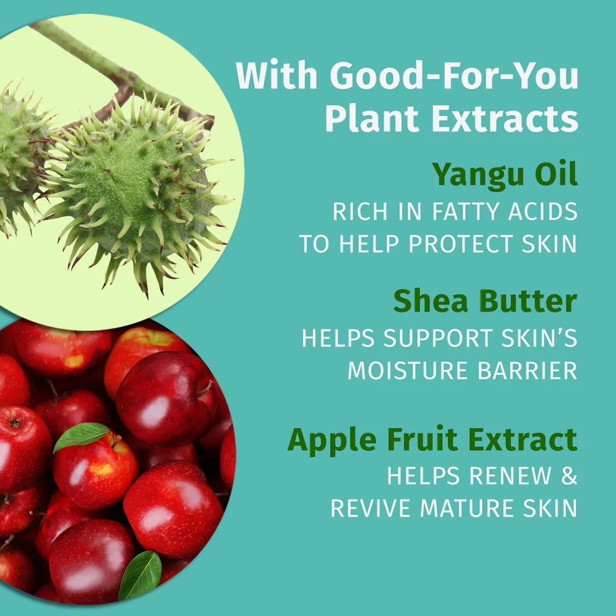 110-2144-03_INGREDIENTS_Triple_Moisturizer_1200x.jpg.jpeg