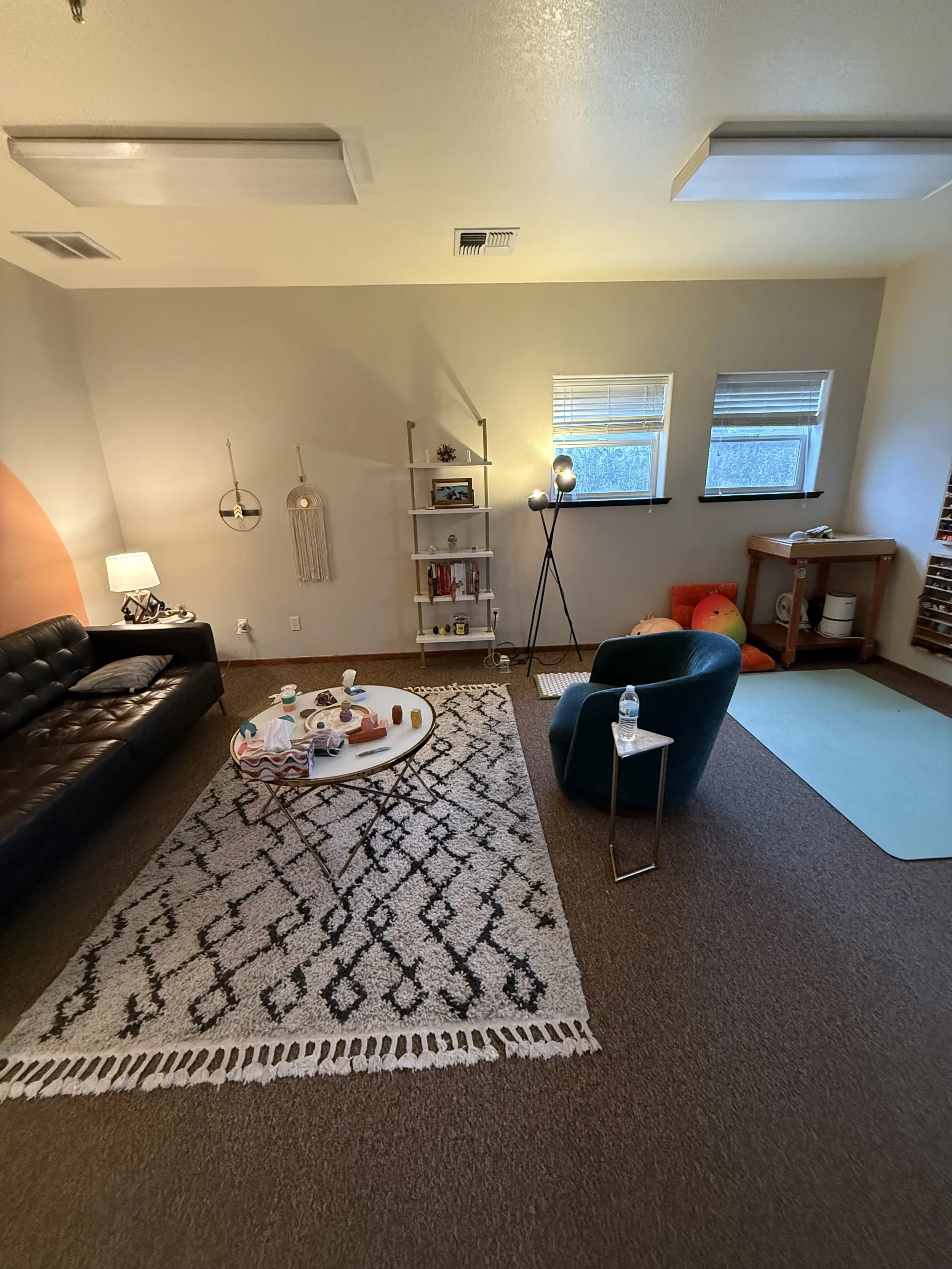 Living room with a black leather sofa, a patterned white rug, and a small round coffee table with various items on it. There is a teal armchair with a water bottle on a side table, a tall floor lamp, a white bookshelf, two windows, and some decorative wall hangings.
