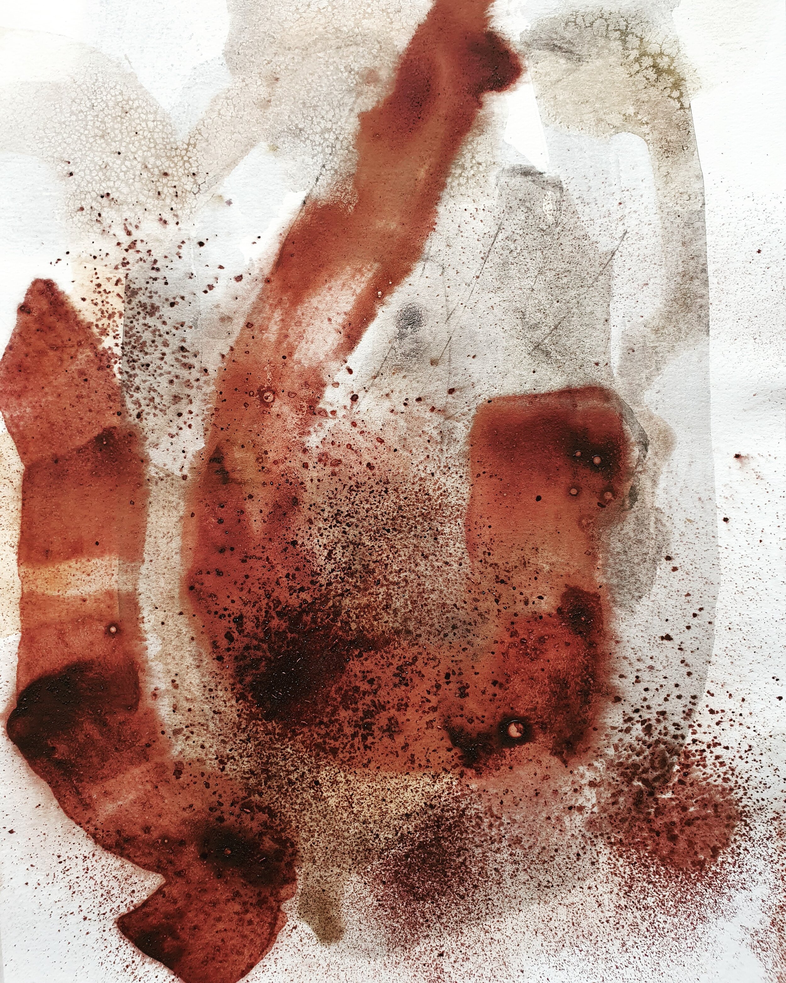 Bloodwood Tree Poem, Bloodwood Sap and Lichen Ink, 21.0 x 29.7 cm, 2020. (SOLD)