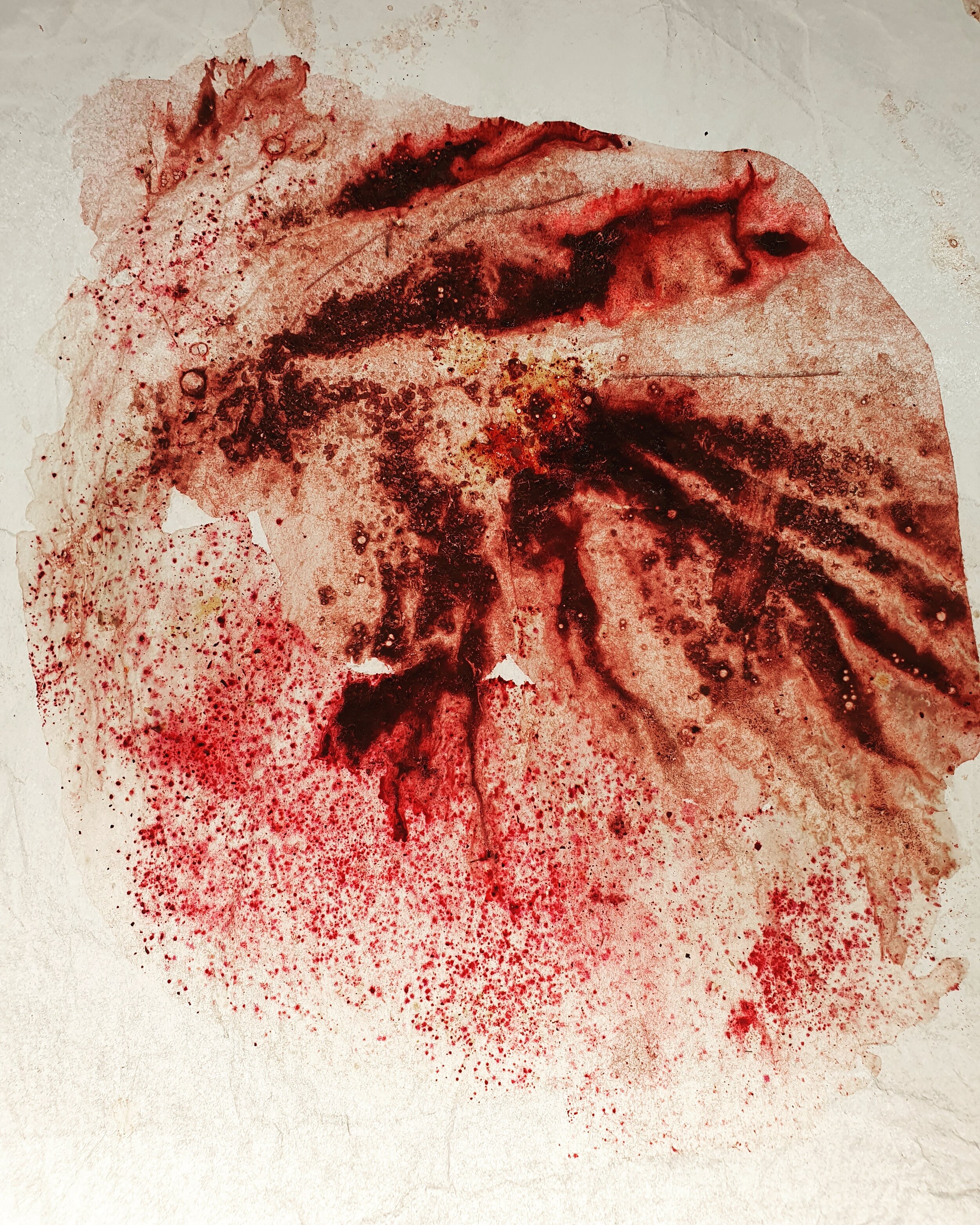 Tree Poem, Bloodwood Sap Pigment on Tissue Paper, 14.81 x 21.01 cm, 2020.