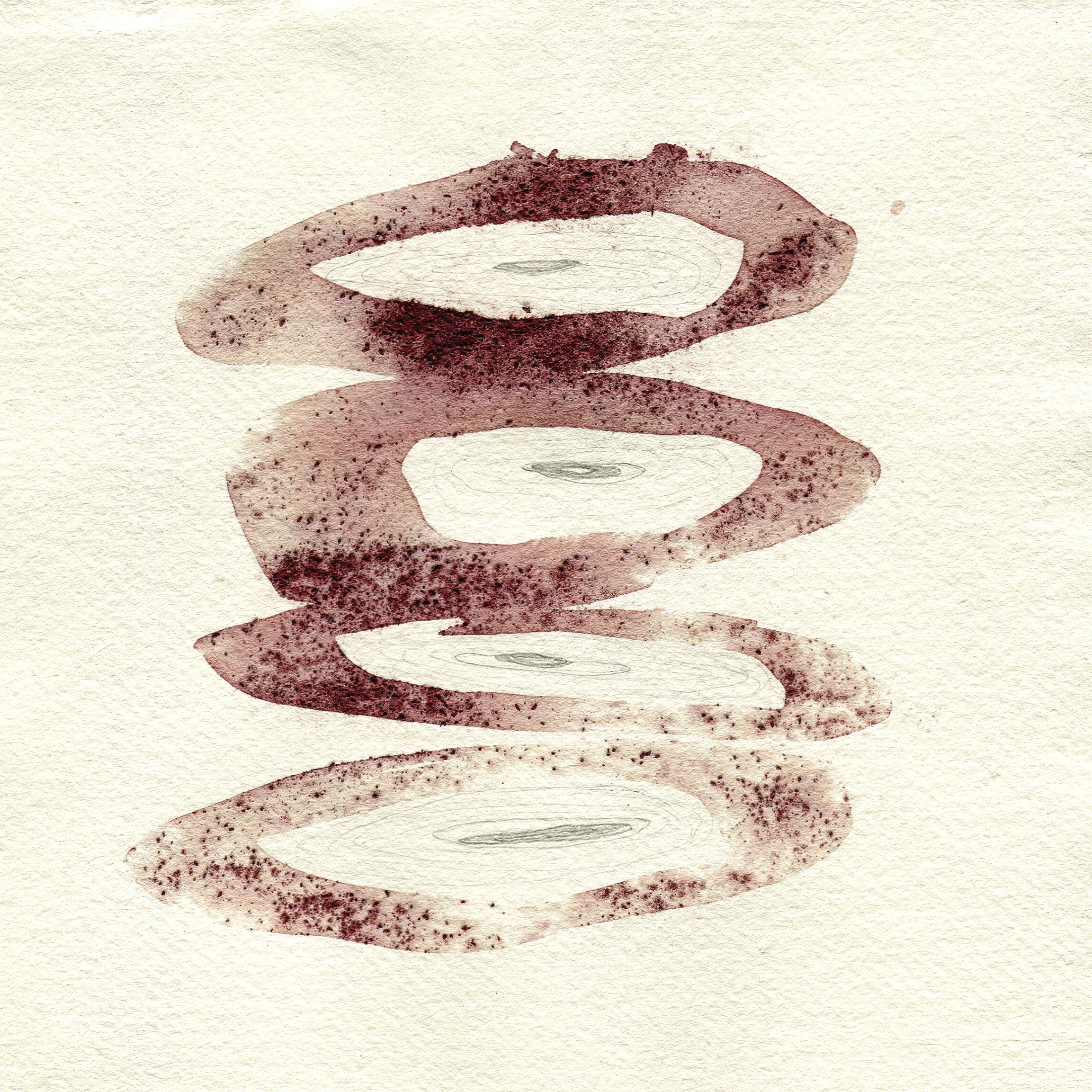 Wellspring drawing - iv | Graphite, and Bloodwood Tree sap on Cotton Rag Paper | 20 x 20 cm | 2024