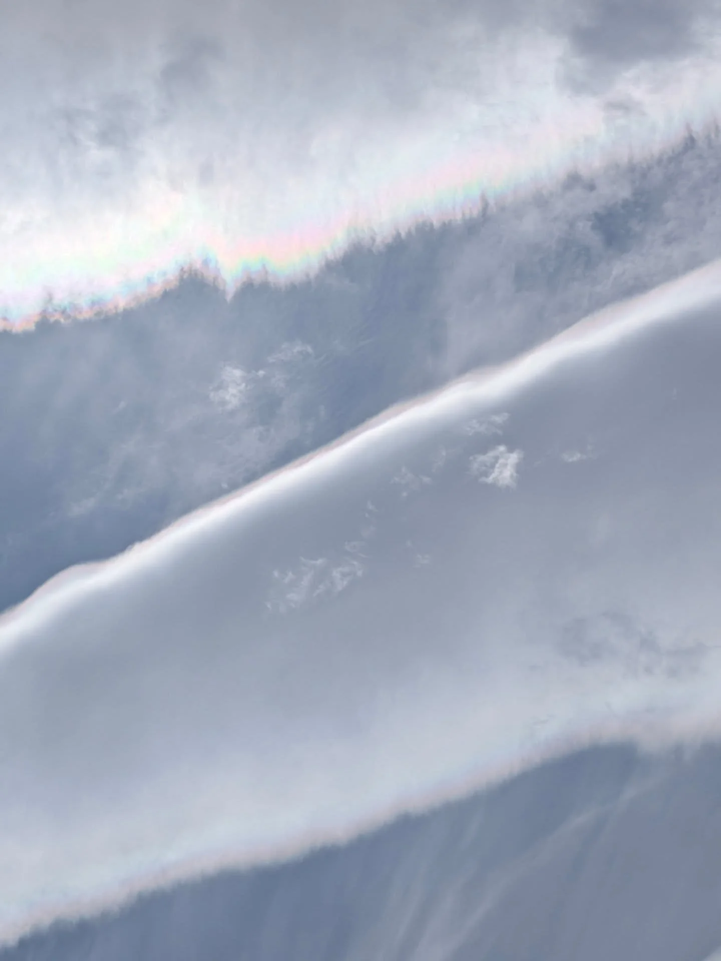 Aotearoa (p.1) a big ol' tramp (as they call hiking here) out to an ancient sacred ice being, Pikirakatahi, through beech forests, bog, over fallen trees, rivers, landslides and spear grass. A wee white moth landed on my hand as we drank our tea and 