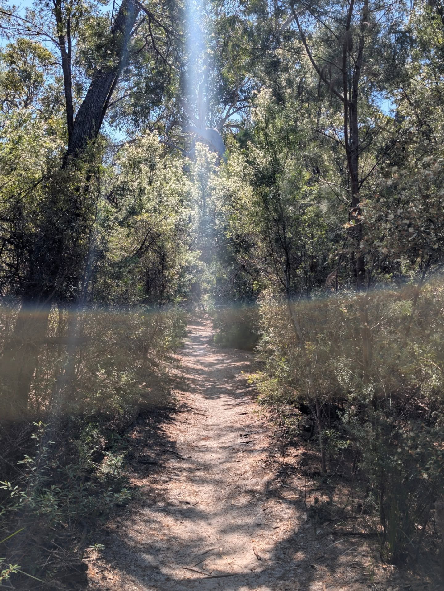 Earth poems, Kabi Kabi and Badtjala (Butchulla) Country.