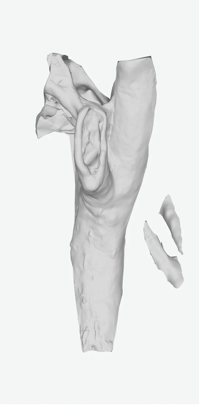 Unknown-4.jpg