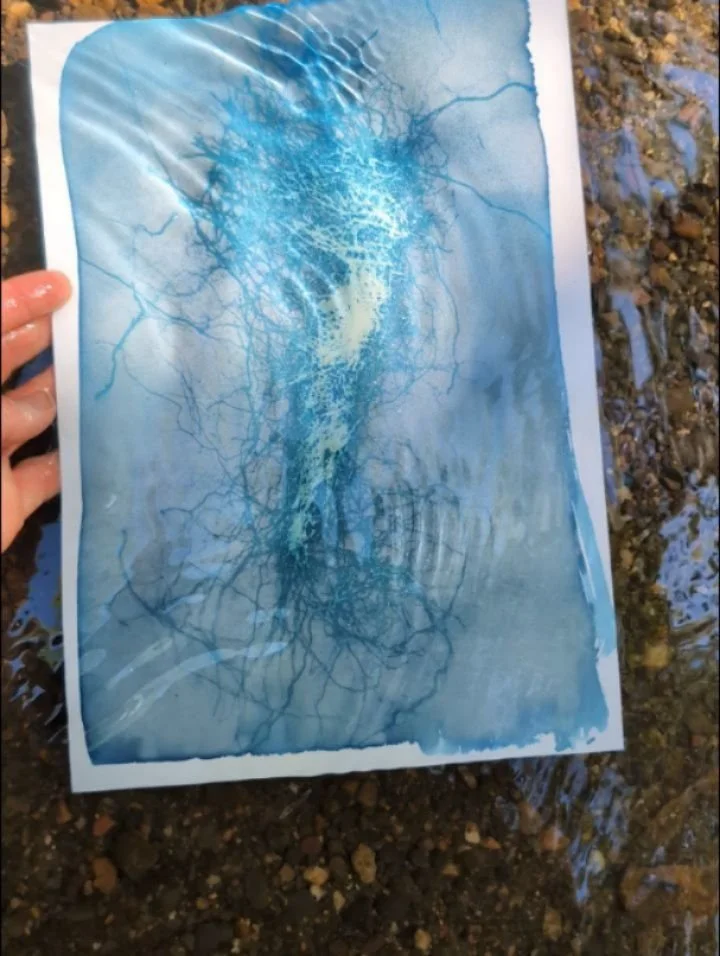 I had the wonderful opportunity to teach the home-school kids at @wildlings_forestschool how to create Cyanotypes (Light Magic Drawings) yesterday, so many gorgeous artworks were made in collaboration with the forest. What a special experience. 

Tha