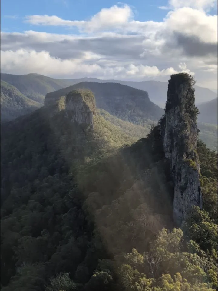 Wee bit of wild walking over the weekend on Yuggera/ Githabul Country through ancient Gondwana Rainforest, to meet the 'Steamers' ft a hell of a lot of Gympie Gympie and incredible bird sounds echoing across the range.

#protectnativeforests #gondwan