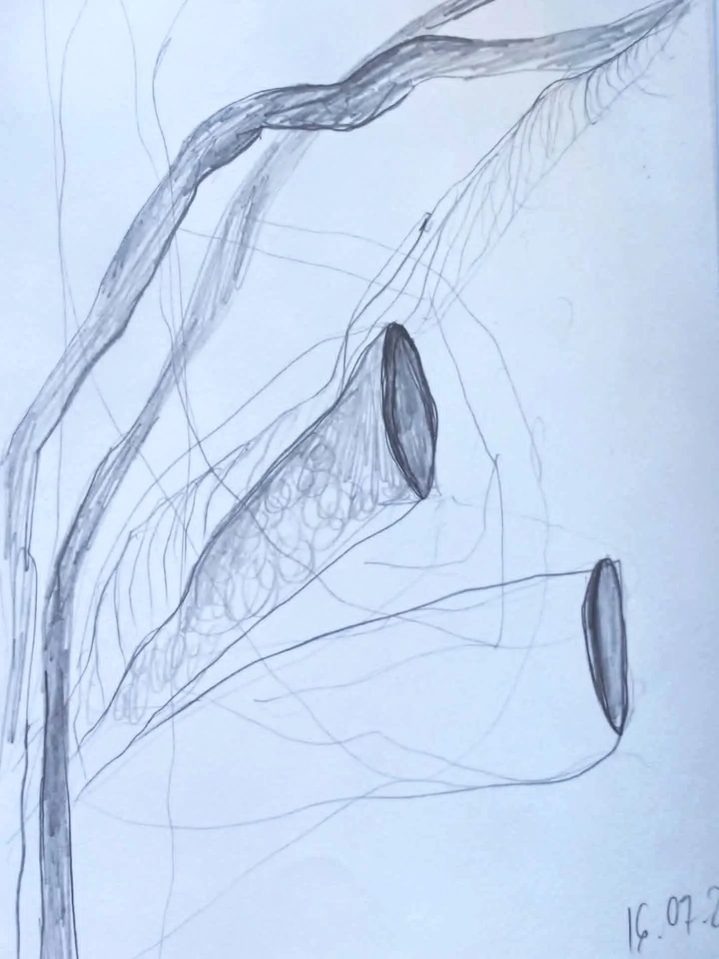 Unknown-12.jpg