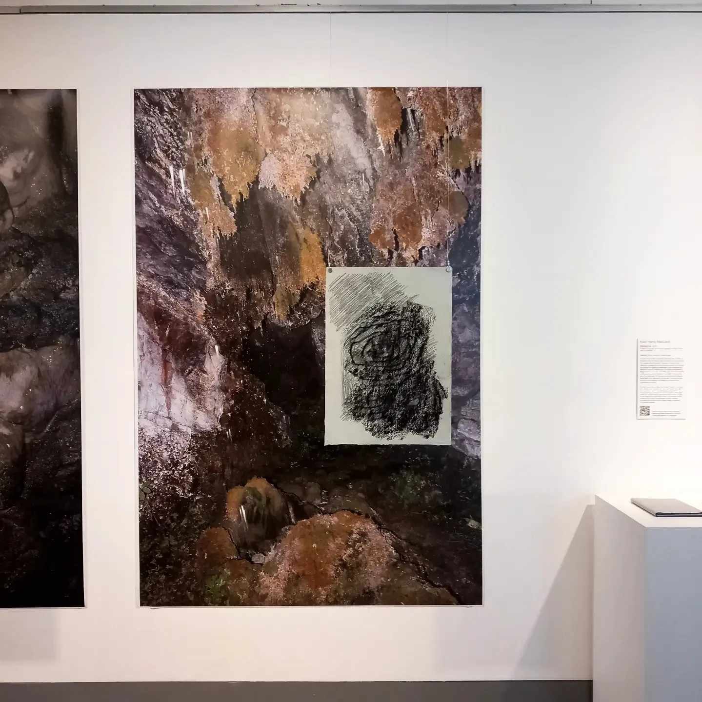 Installation for the about-place/ about-face exhibition at Caloundra Regional Gallery.