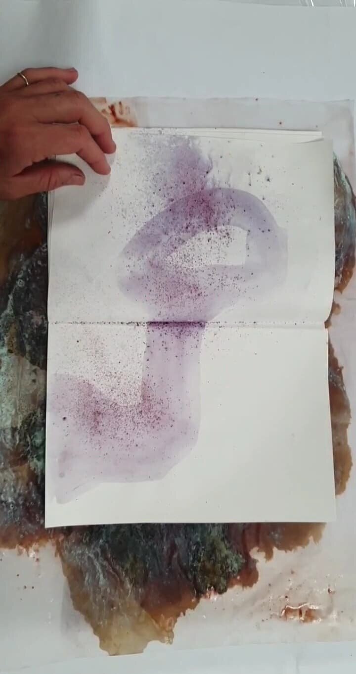Learning to draw with tree sap. Documentation.