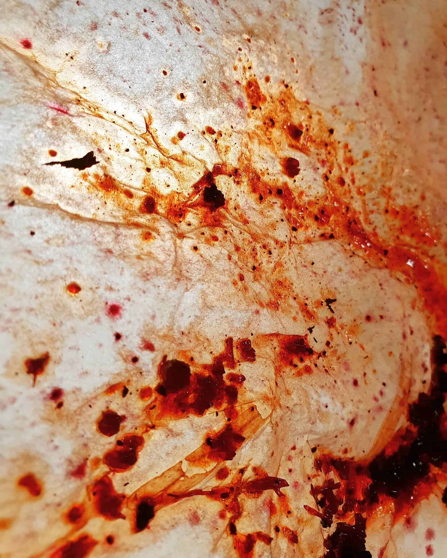 Close Up Image of Tree Sap on Tissue Paper, Digital Image. Documentation.
