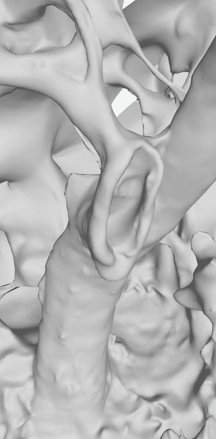 Unknown-16.jpg