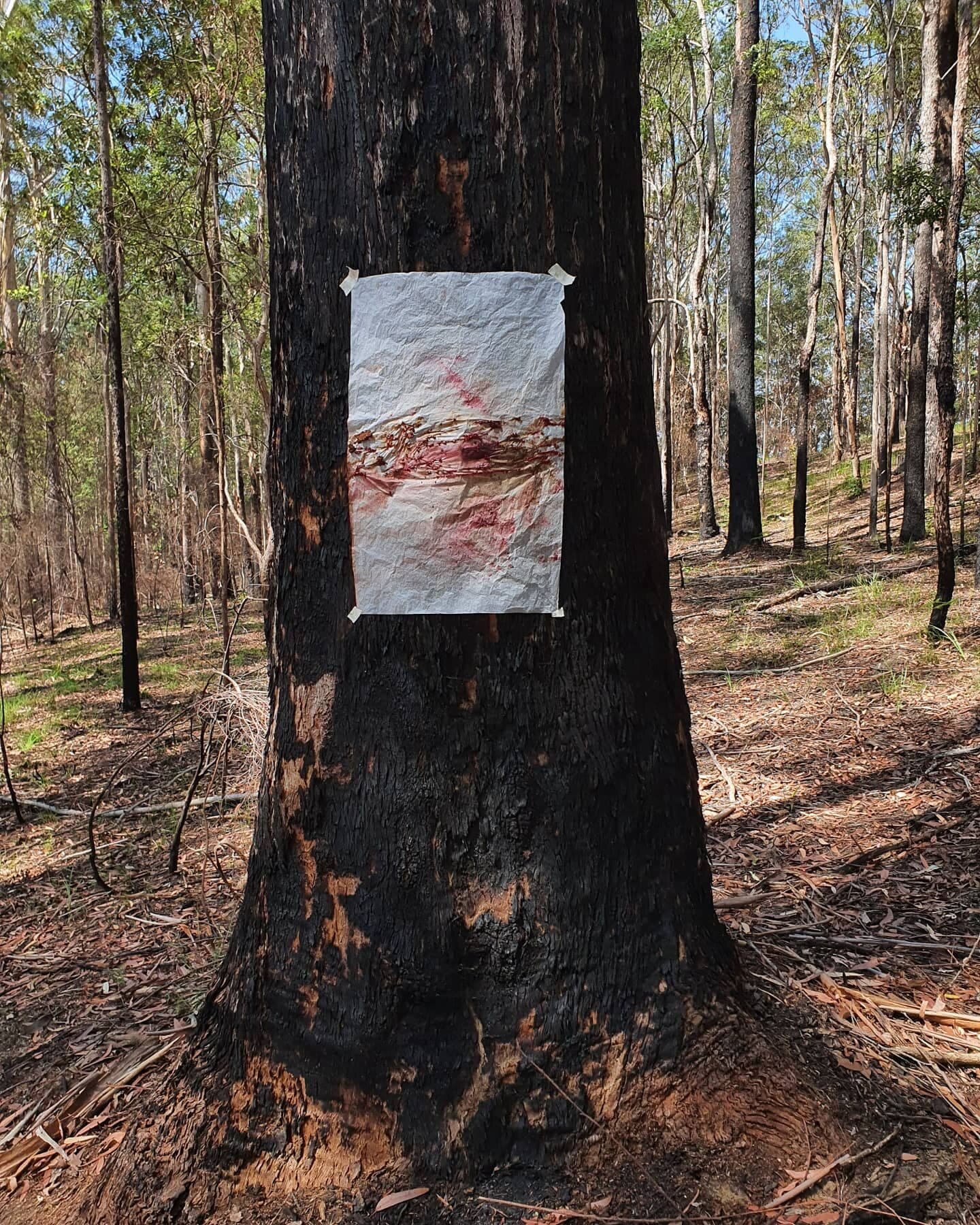 Site Responsive Tree Drawings. Documentation.