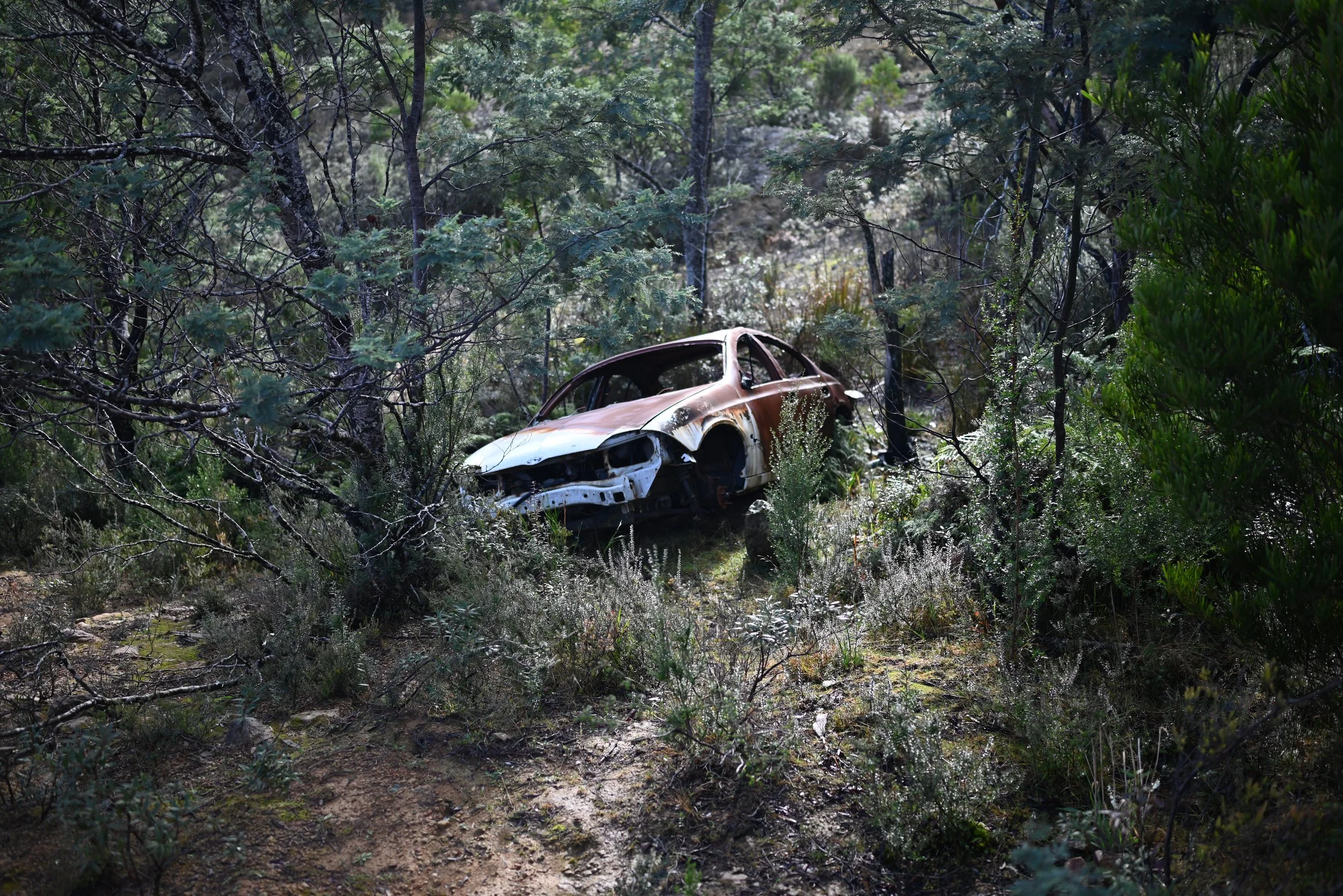DSC_2534.jpeg