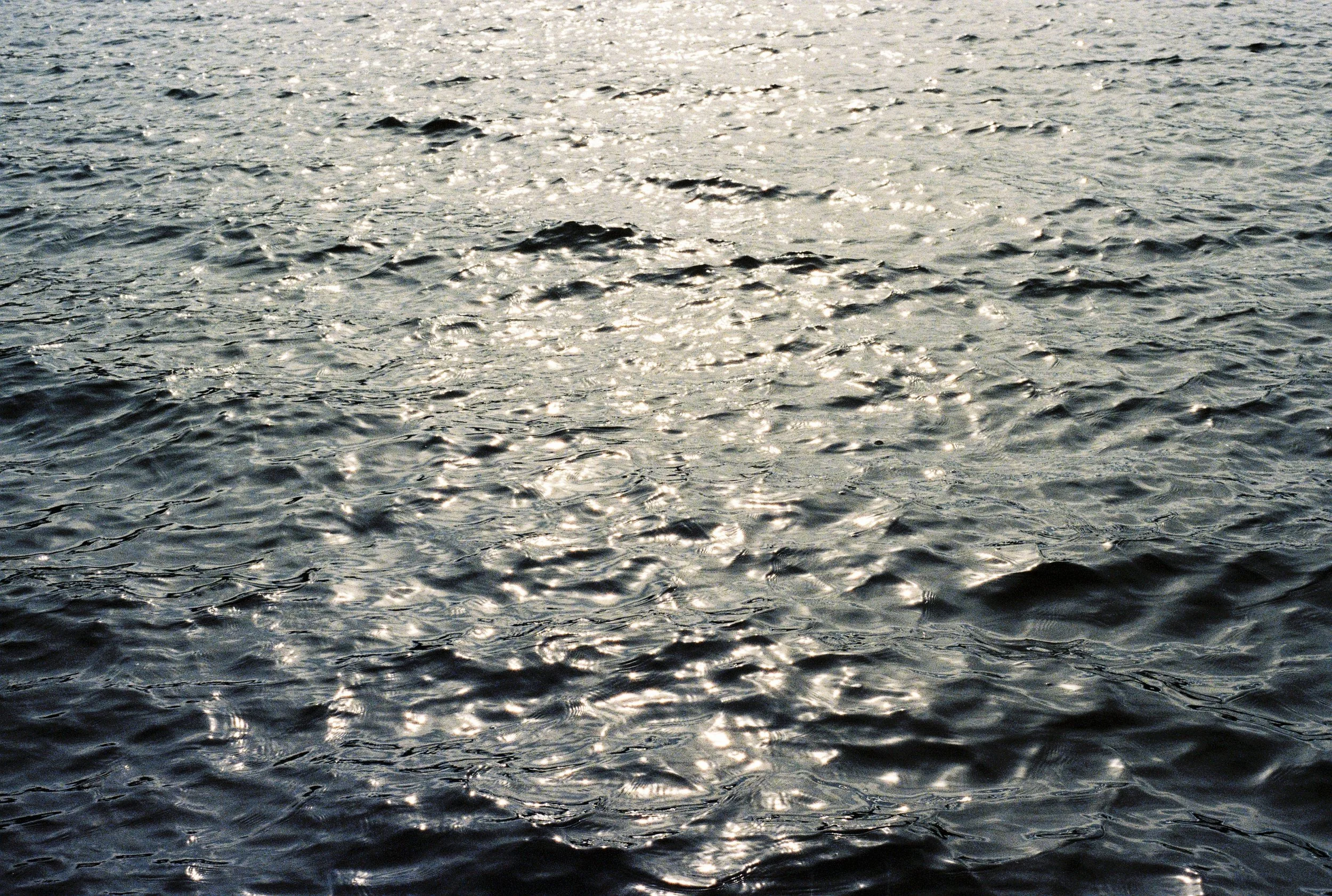 000016.JPG