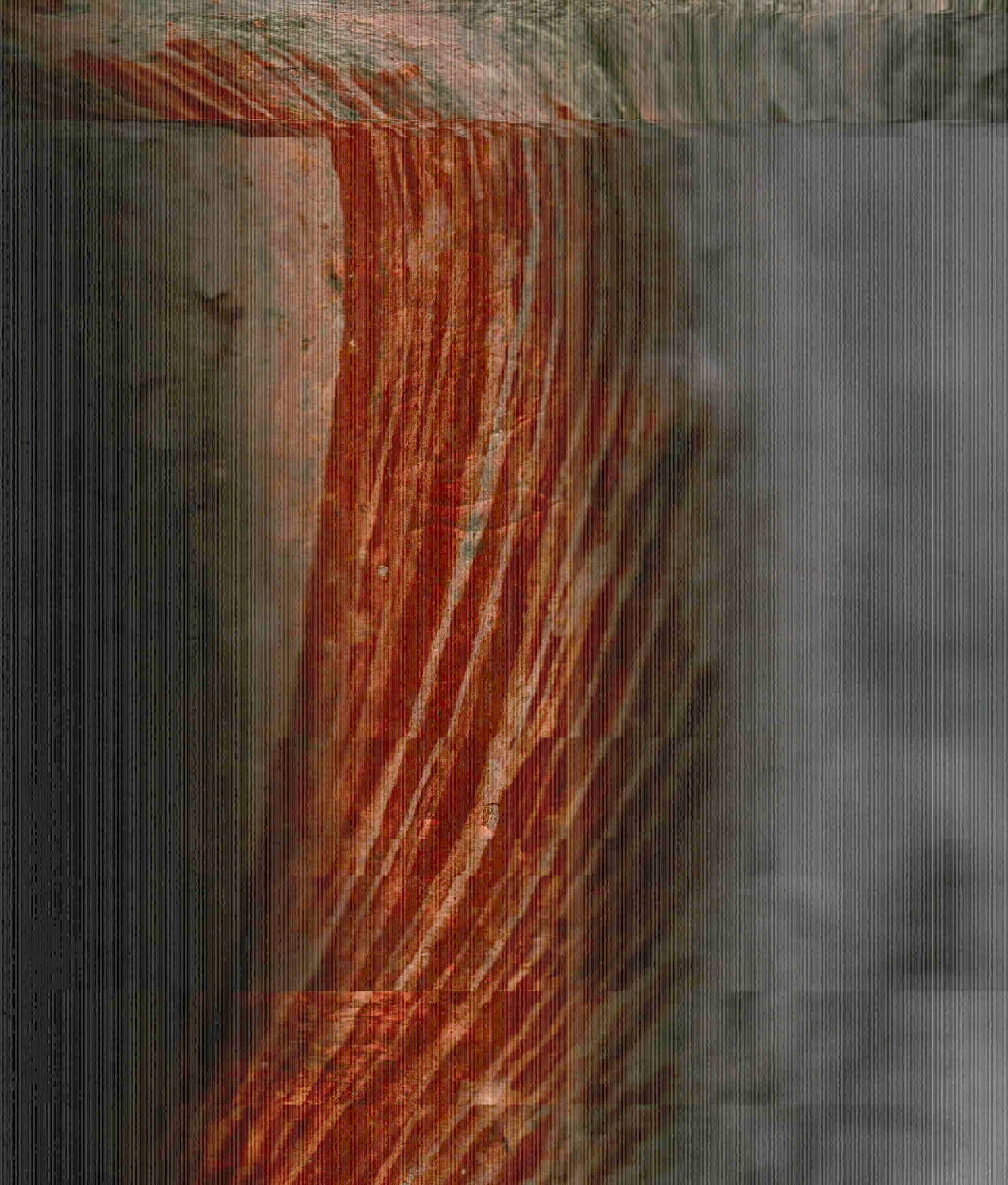 IMAG0015.JPG