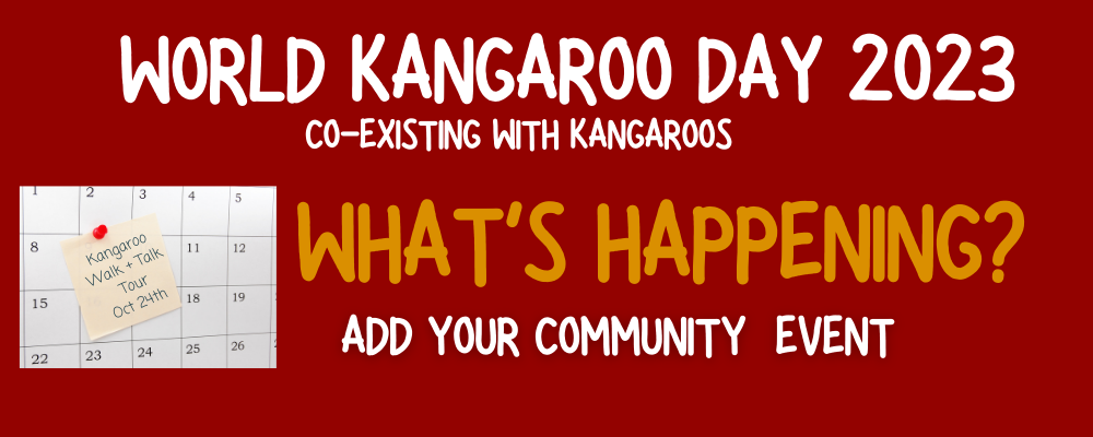 World Kangaroo Day - What's Happening Events.png