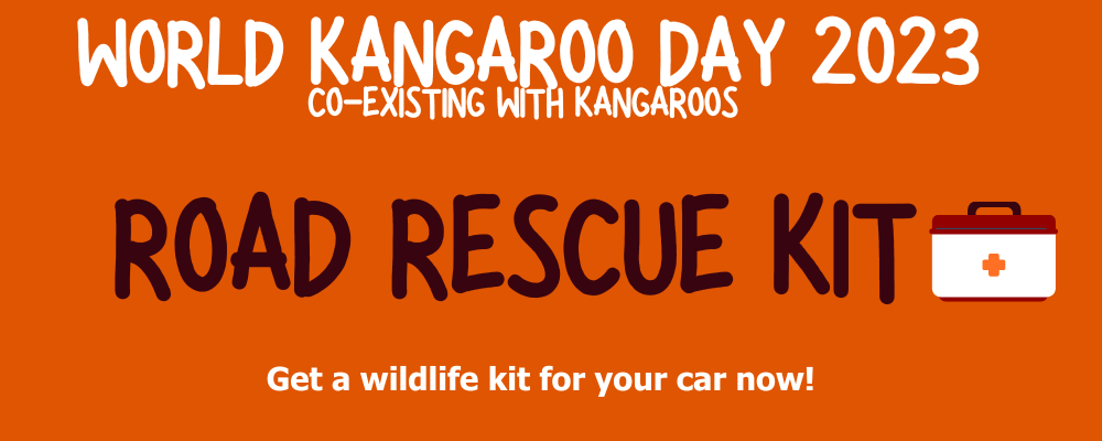 World Kangaroo Day - Road Rescue Kit.png