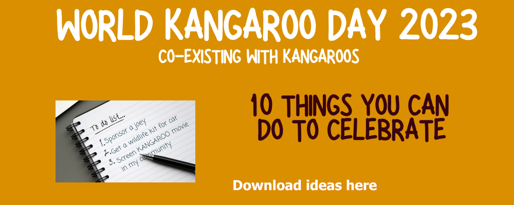 World Kangaroo Day - 10 Things You Can Do.png