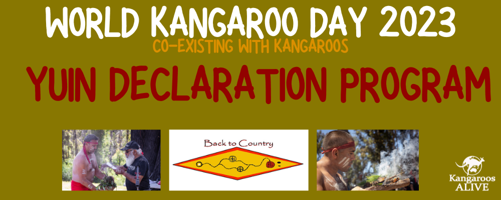 World Kangaroo Day - Yuin Declaration.png