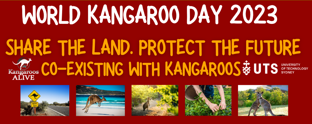 World Kangaroo Day - Co-existing with Kangaroos C.png
