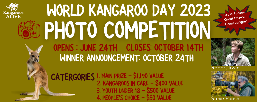 World Kangaroo Day - Photography Competition (2).png