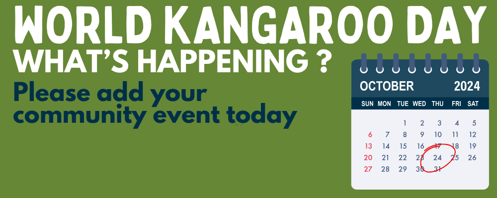 1 What's happening.png