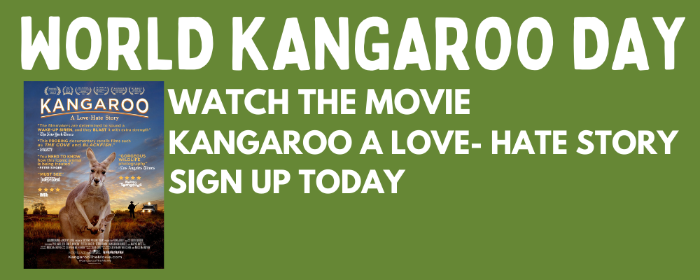 14 watch the movie.png