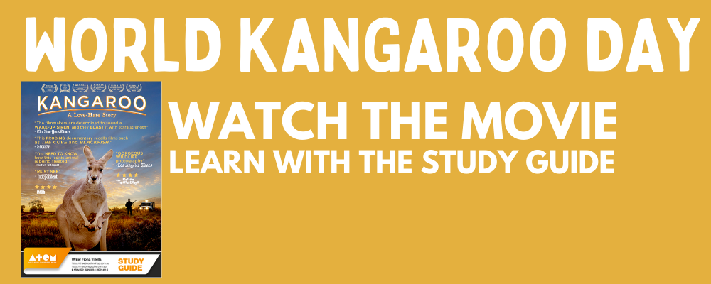 15 kanga movie study guide.png