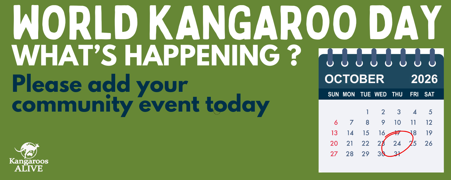 What's happening.png