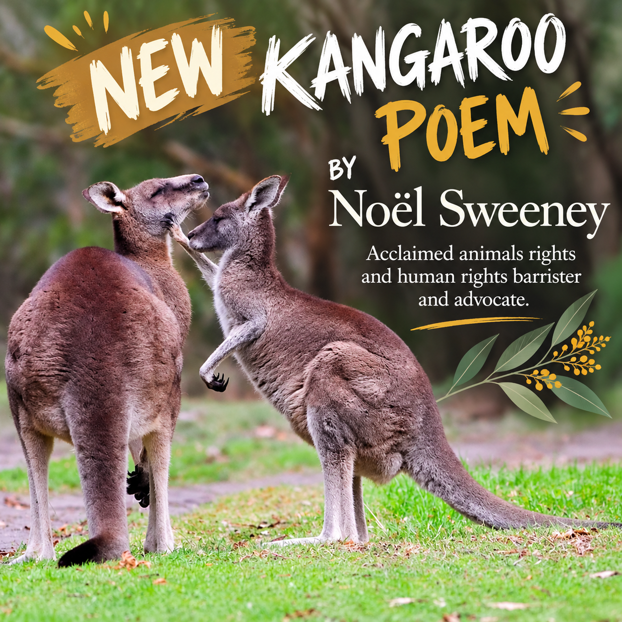 New Poem Release by Noël Sweeney