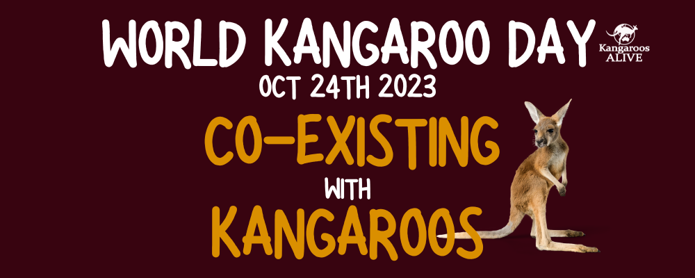 WORLD KANGAROO DAY - October 24