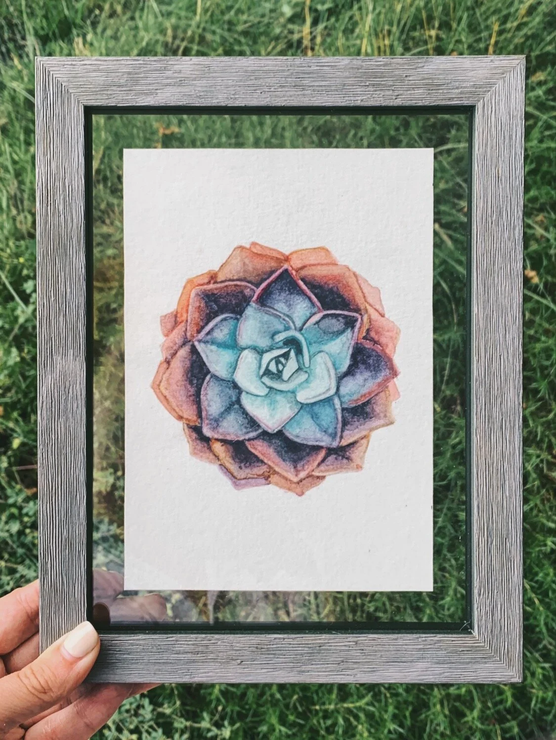 Succulent 1$25