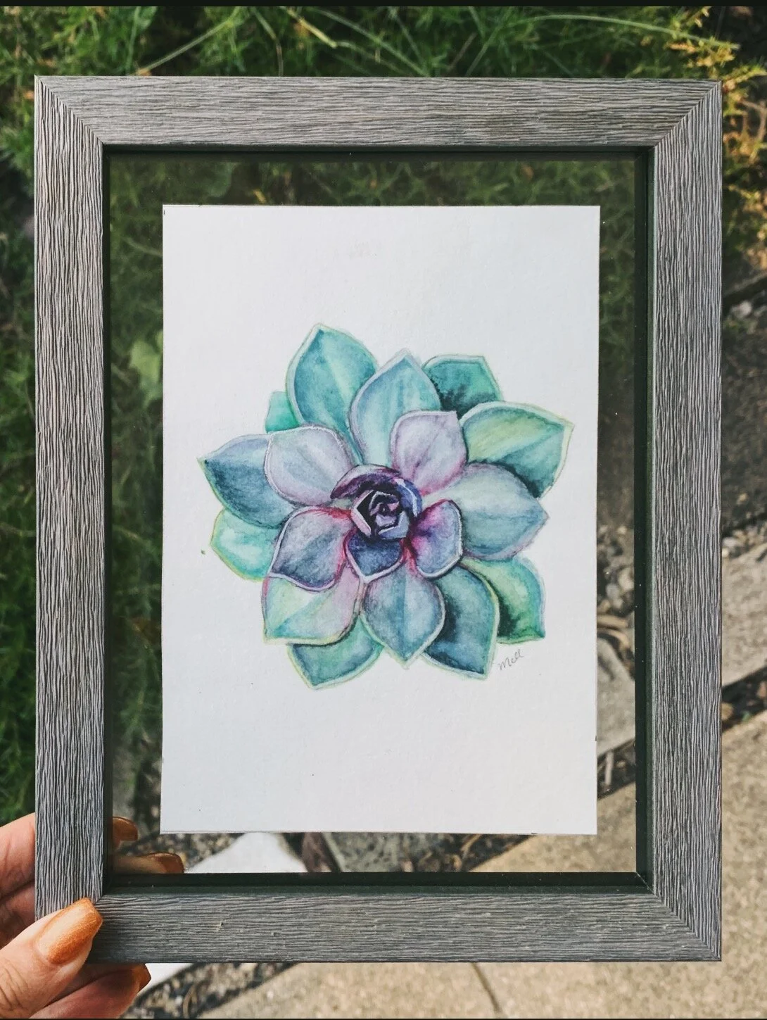 Succulent 3$25
