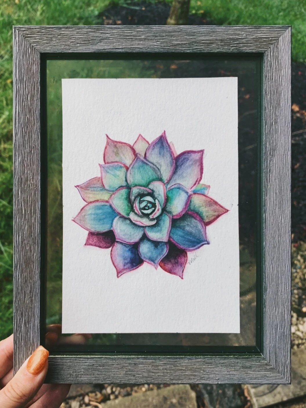 Succulent 2$25