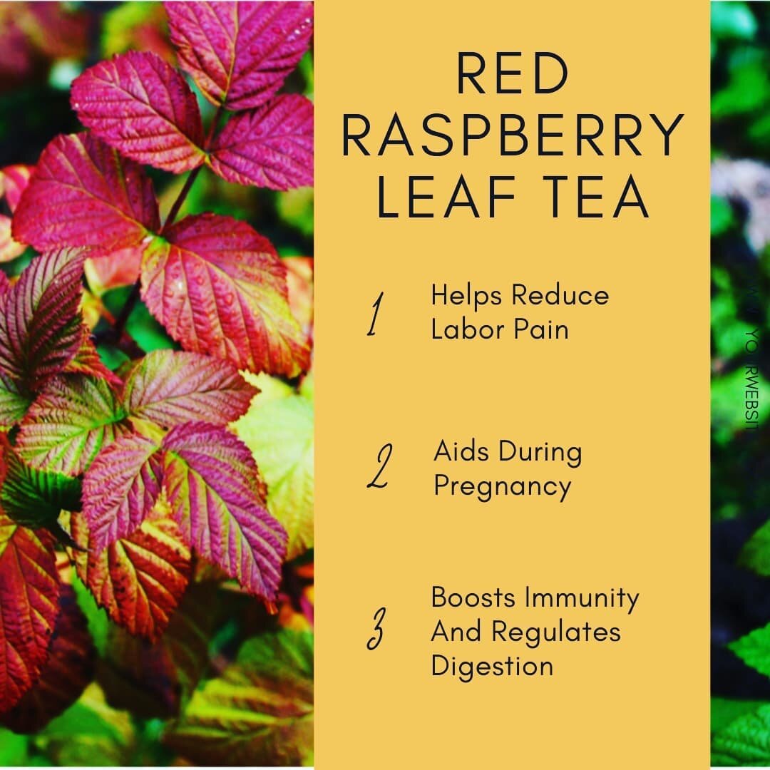 Rubus idaeus, commonly called red raspberry, is a plant grown in Europe, some countries in Asia, and other temperate regions on the Earth. 🌿

Although different plant parts have different advantages, the garden raspberry leaves have been used in tra
