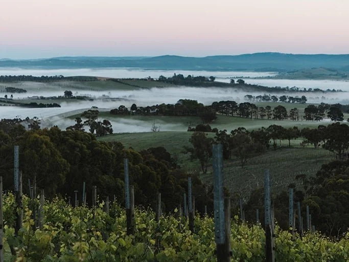 Of Sea, Sky & Soil: A Wine & Culinary Tribute to Austral Lands