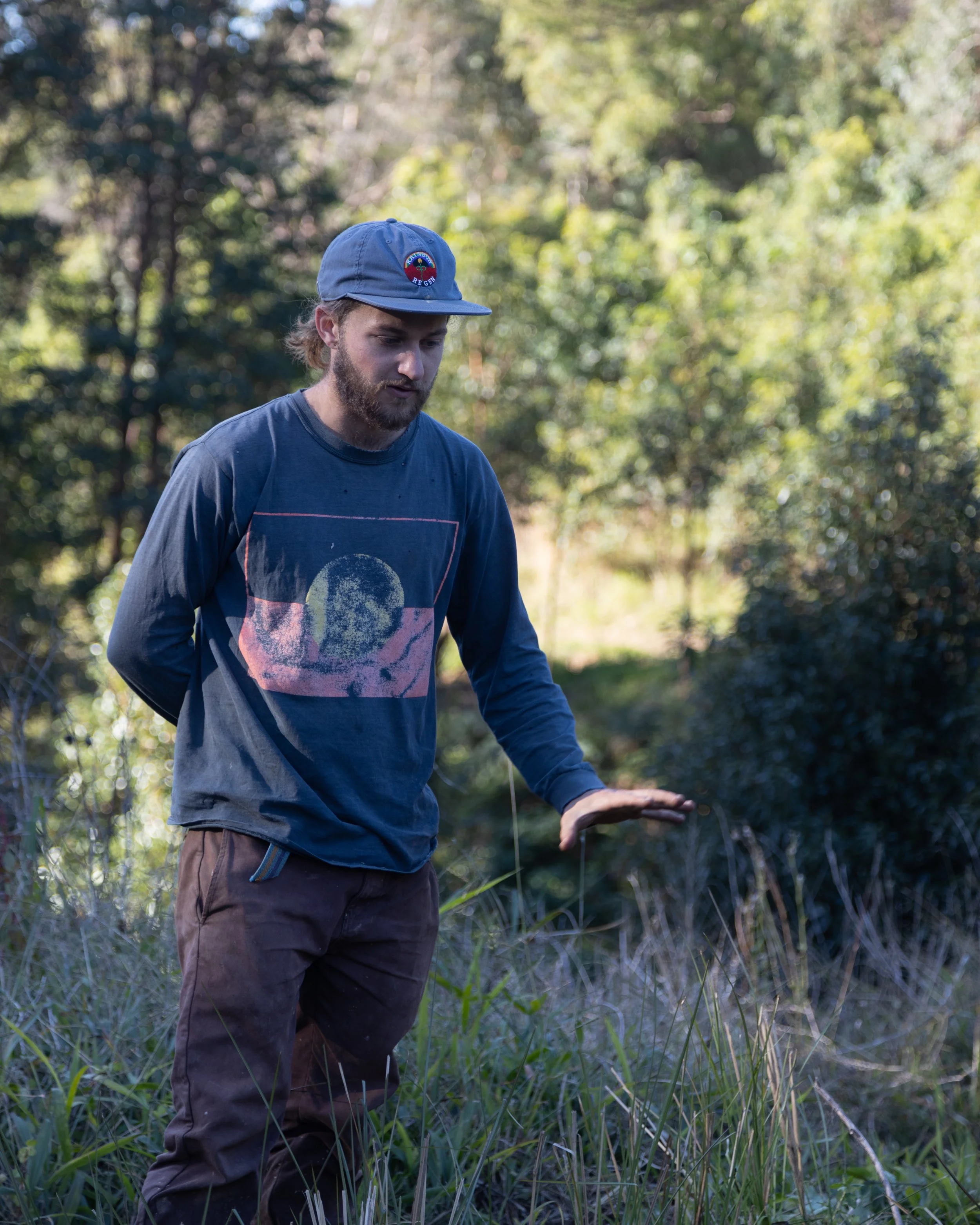 Pierre explained.jpeg