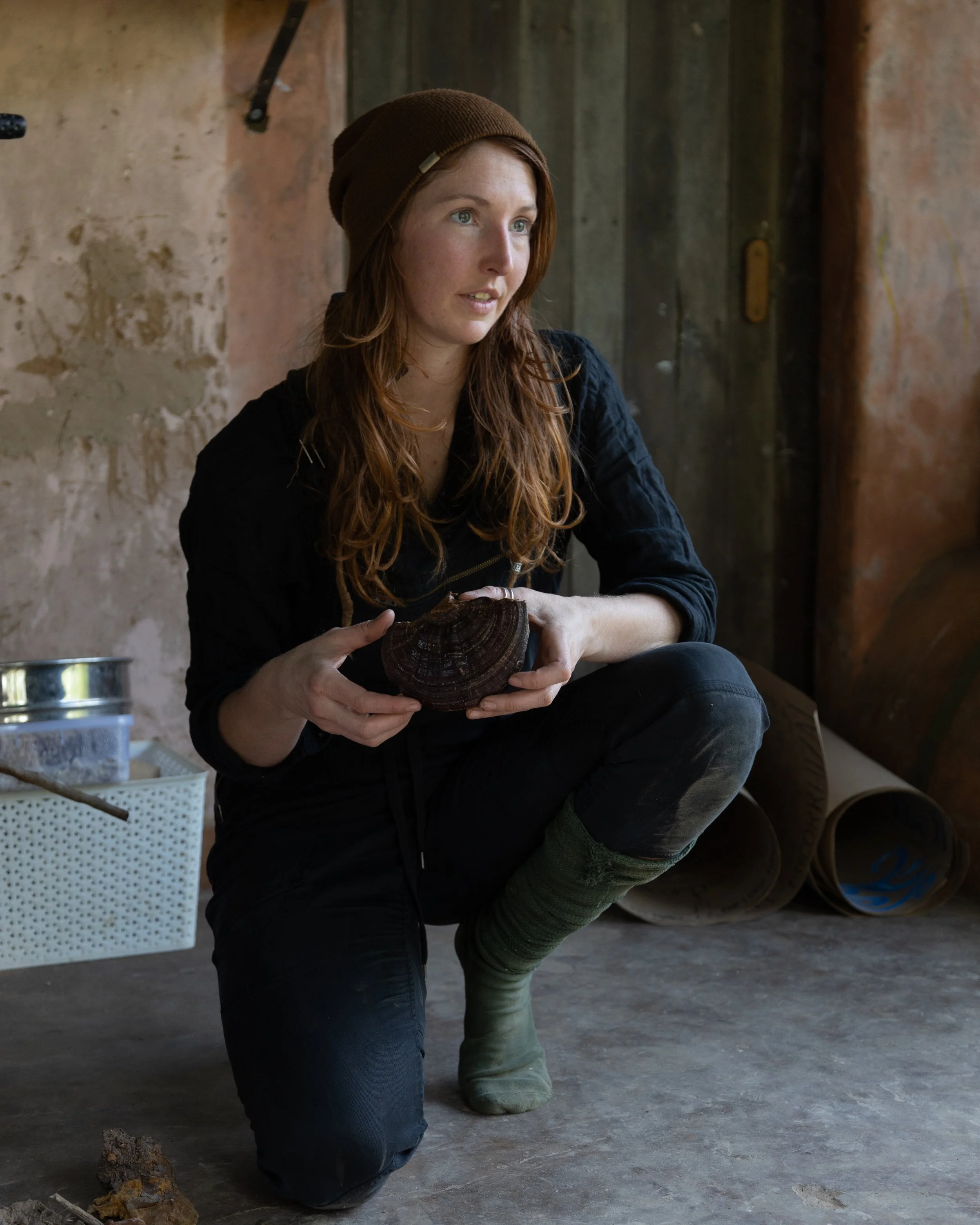 dreamy with ganoderm.jpeg