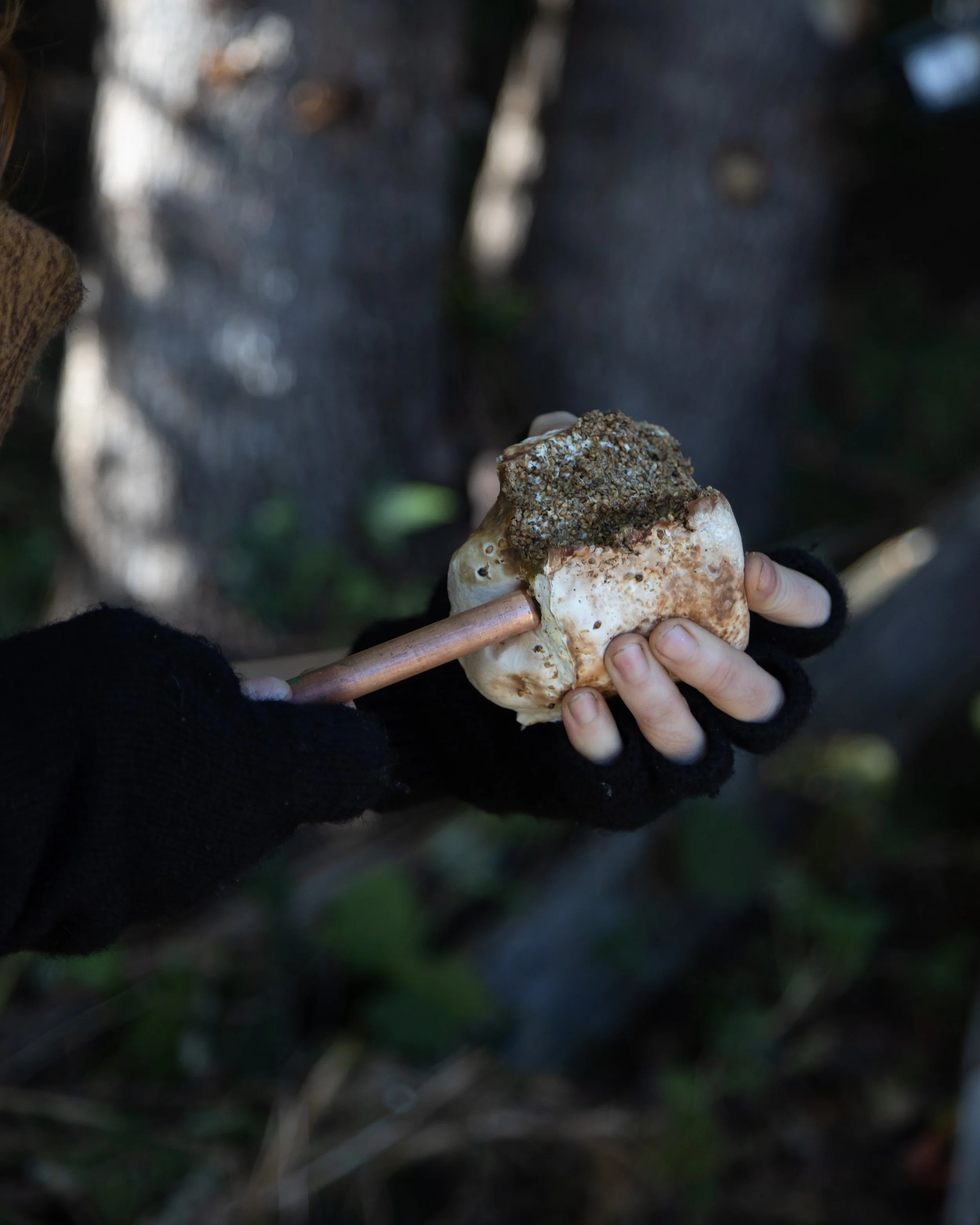 dowels with copper GA.jpeg