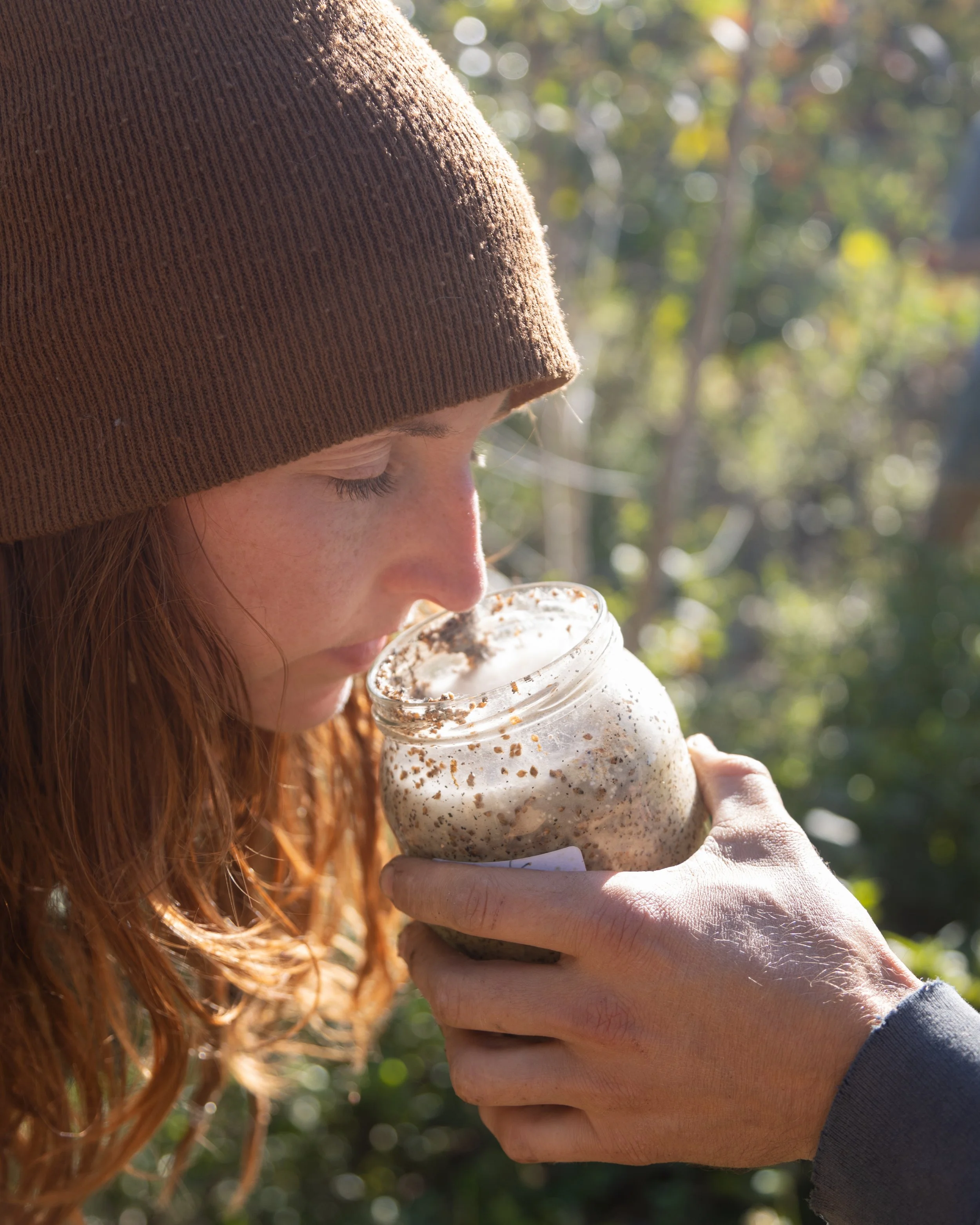 Mik smelling grain.jpeg