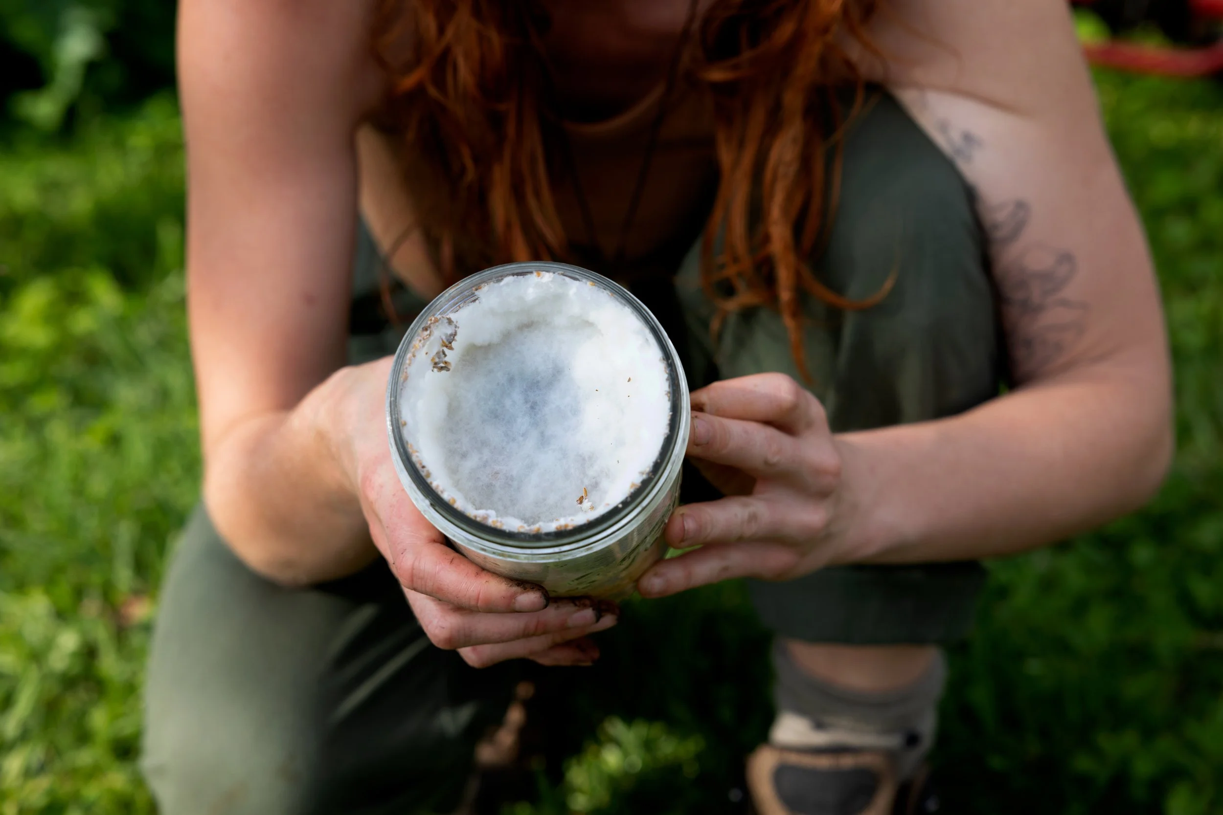 log inoculation | shiitake log | turkey tail log | growing mushrooms on hardwood log | food forest | mushroom in garden | gardening with mushrooms | mycelium | eucalyptus | oyster mushroom | agro ecology | bunya