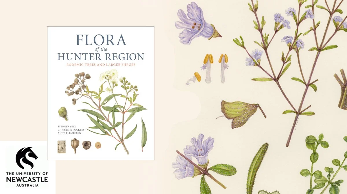 Flora of the Hunter Region Publication - Project Manager, co-illustrated and designed. Project is ongoing with a second book. Collaboration with Newcastle University natural history illustration students and botanist Stephen Bell. Published by CSIRO.