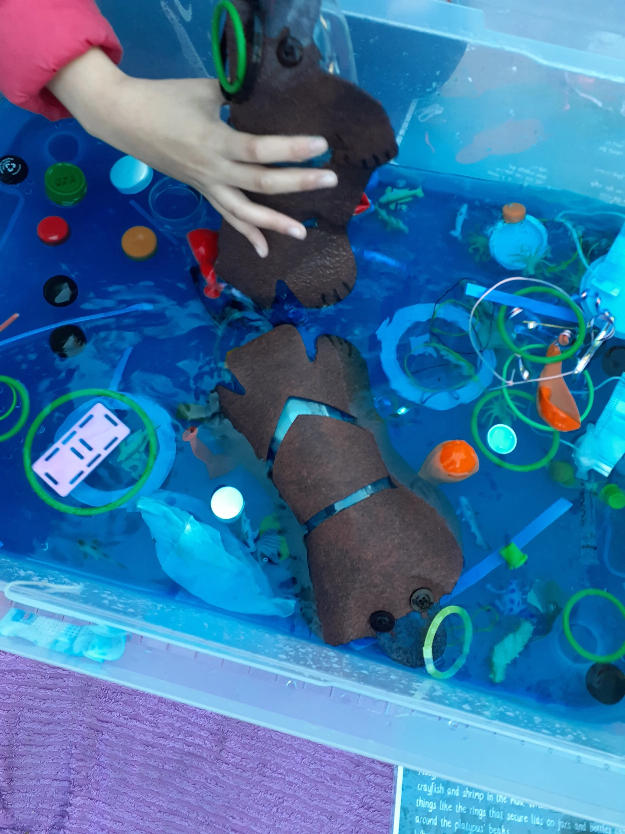 Scienceplay Kids - Creative facilitator for  schools, festivals and shopping centre activations.