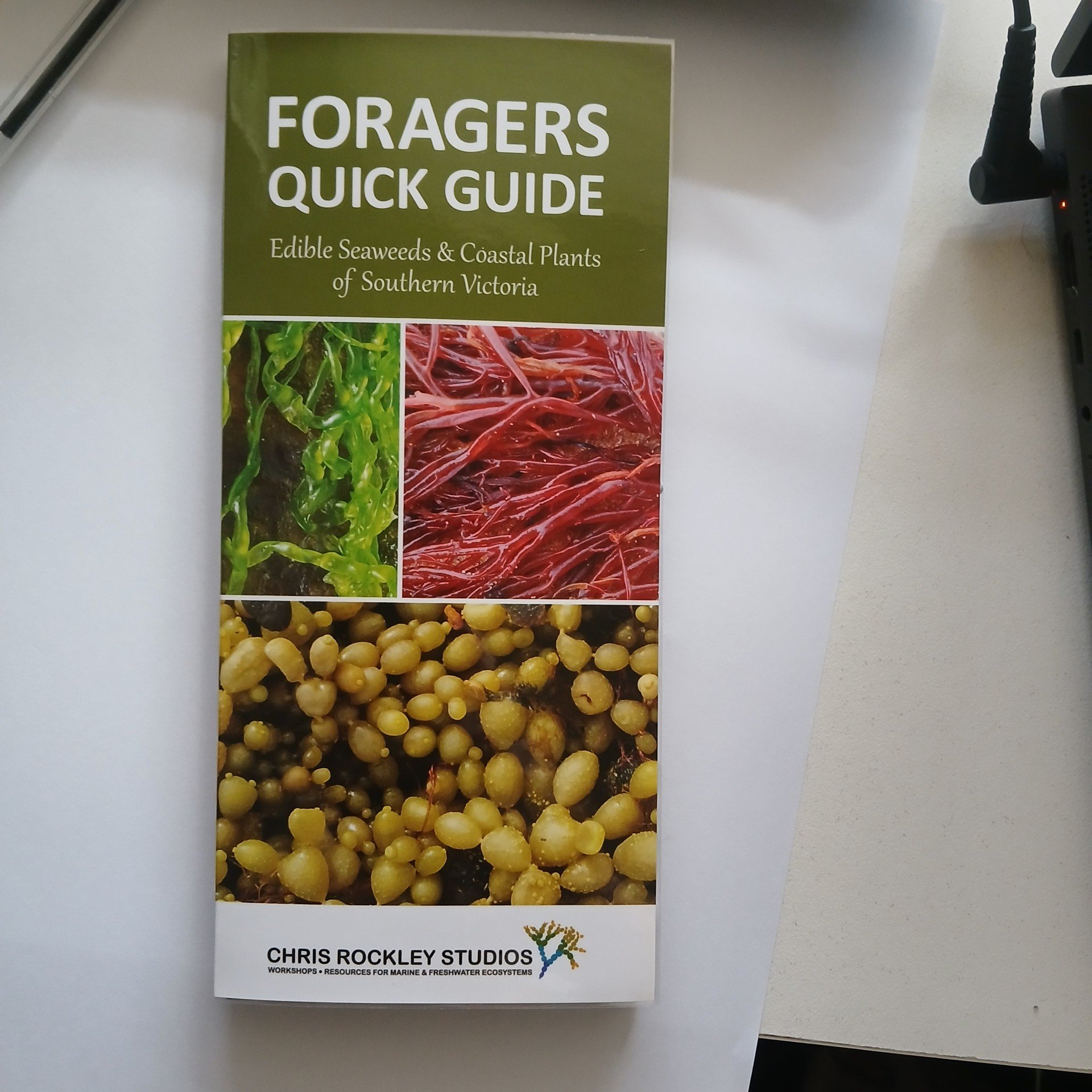 FORAGERS QUICK GUIDE - SEAWEEDS