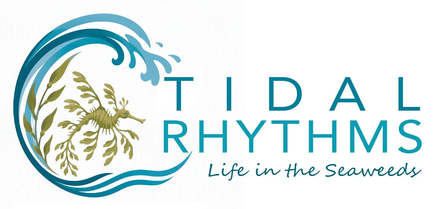 Tidal Rhythms Project - Portland Neighbourhood House